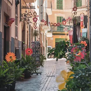 https://cas-cuscanti.balearic-islands.net